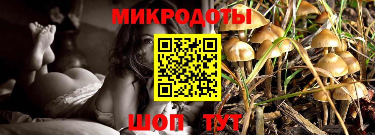 Дедовск  Псилоцибиновые грибы мухоморы  закладка  Вход с VPN 