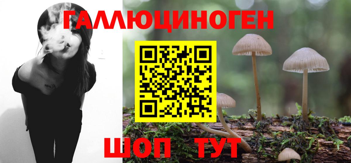 Галлюциногенные грибы Psilocybe Дедовск